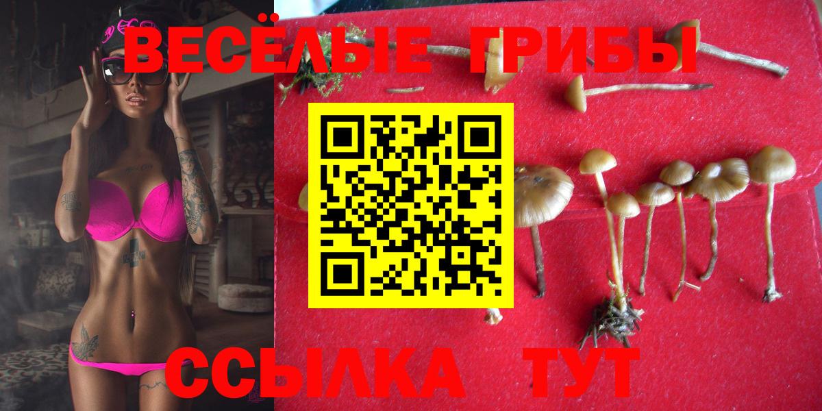 Псилоцибиновые грибы GOLDEN TEACHER  Вход с VPN  Галлюциногенные грибы мухоморы  Дивногорск 