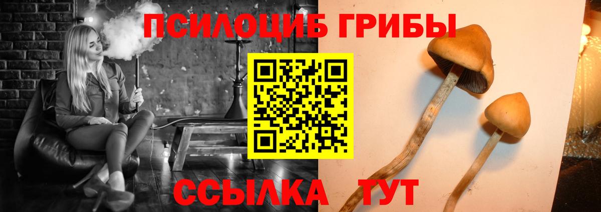Галлюциногенные грибы прущие грибы Дивногорск