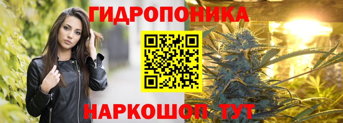 Шишки марихуана MAZAR  Бошки Шишки AK-47  Бошки Шишки SATIVA & INDICA  Вход с VPN  Дивногорск 