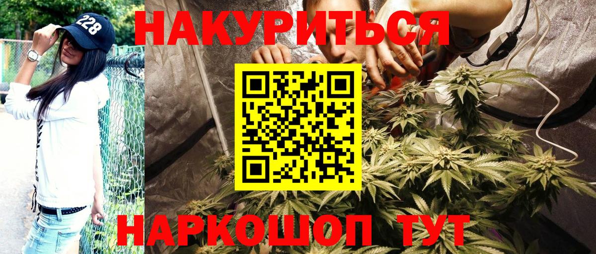 Бошки марихуана VHQ Дивногорск